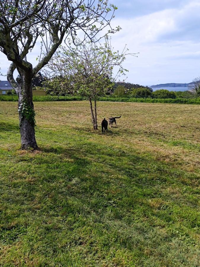 Pozo Das Leiras-Izquierda- Ares Buitenkant foto